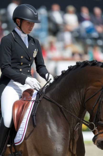 Les erreurs courantes en dressage et comment les éviter