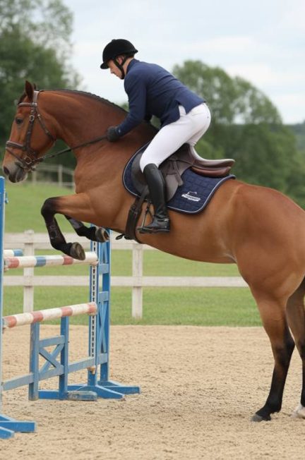 Routine d’échauffement idéale pour un cheval avant une séance de saut d’obstacles