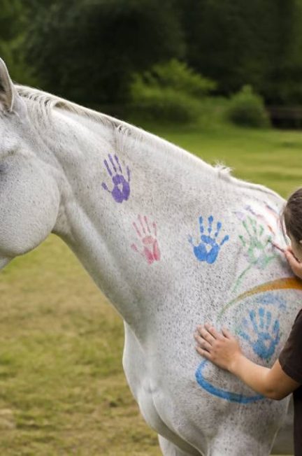 Peinture sur chevaux : idées, techniques et conseils pour un rendu réaliste