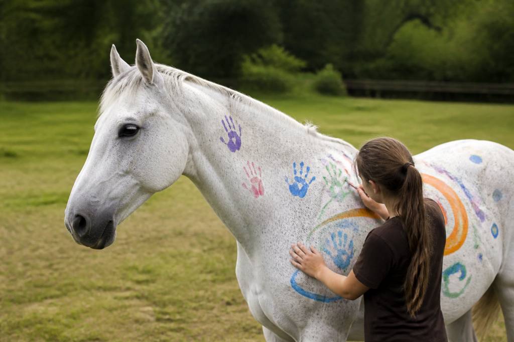 Peinture sur chevaux : idées, techniques et conseils pour un rendu réaliste