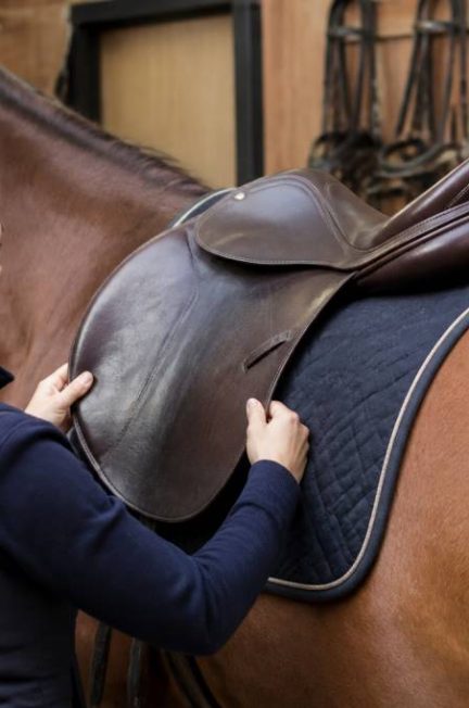 Une selle de cheval : comment choisir le bon modèle pour votre monture