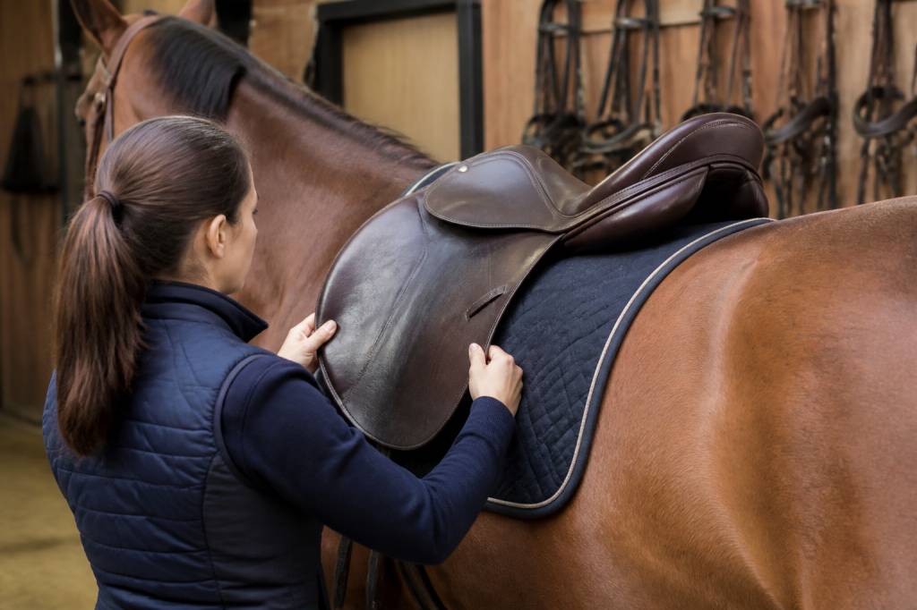 Une selle de cheval : comment choisir le bon modèle pour votre monture