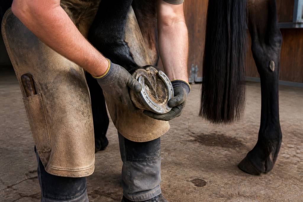 Un fer à cheval : rôle, pose et entretien pour le cheval