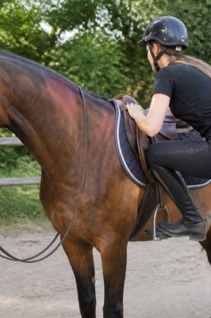 Comment monter sur un cheval : méthode simple et conseils d’équitation