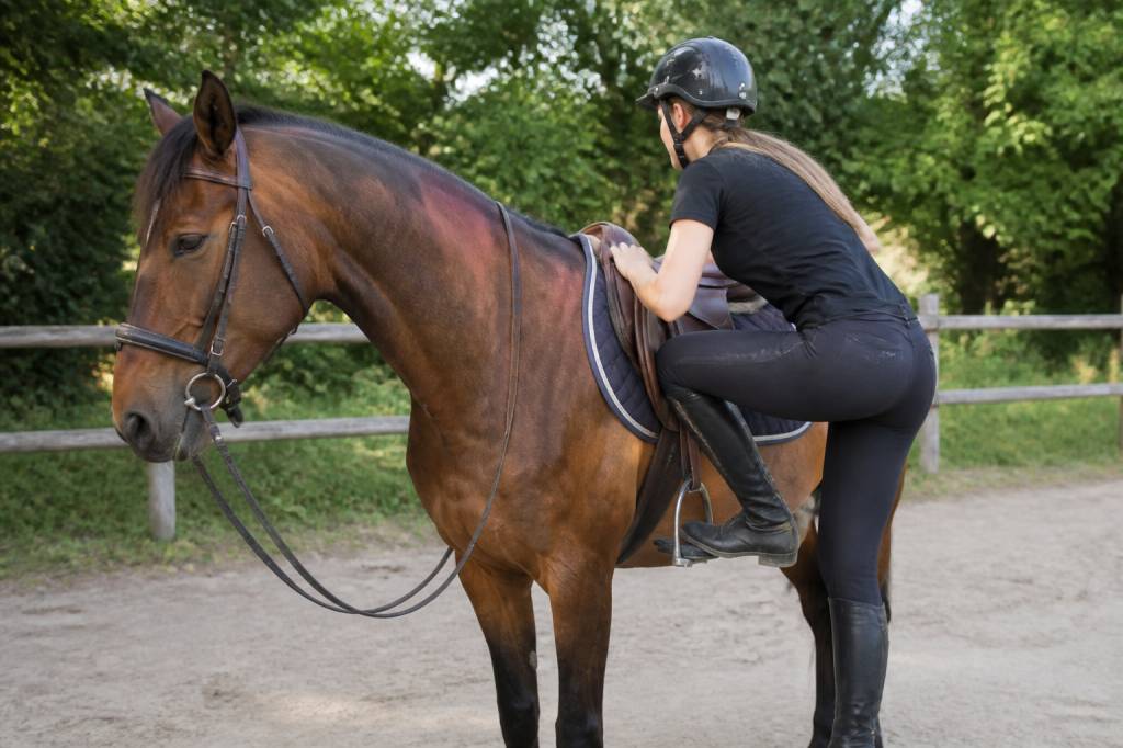 Comment monter sur un cheval : méthode simple et conseils d’équitation