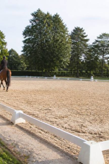 Carré de dressage : dimensions, lettres et conseils pour bien l’utiliser