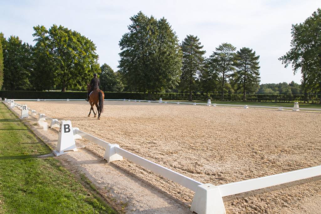 Carré de dressage : dimensions, lettres et conseils pour bien l’utiliser