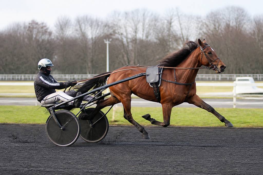 Record vitesse cheval trot km h : quel est le record et comment l’expliquer
