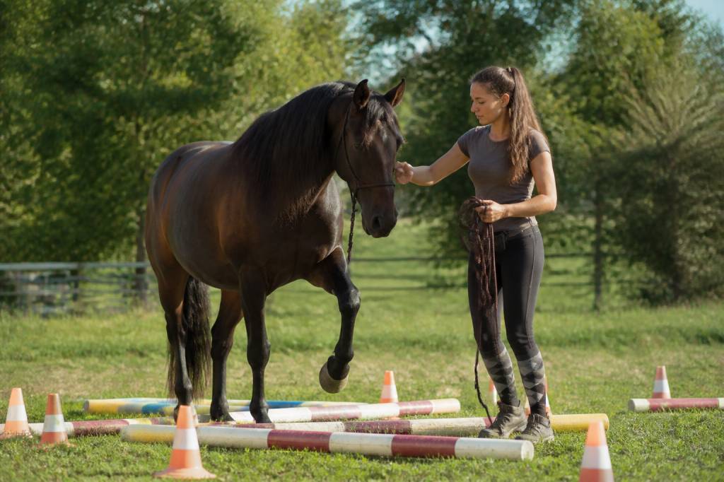 Activités cheval : idées, jeux et exercices pour varier le quotidien
