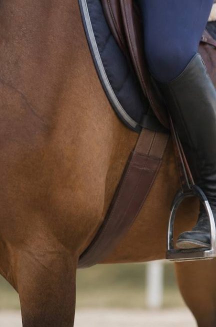 Courroie de selle : rôle, choix et conseils d’utilisation en équitation