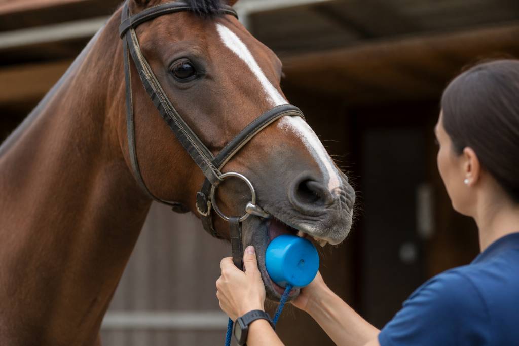 Bouchon chevaux : utilité, choix et conseils pour bien l’utiliser