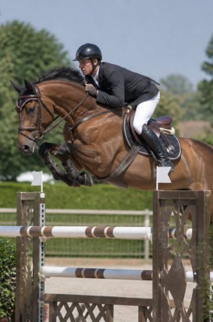 Chevaux de sport belgique : élevage, sélection et performances en compétition