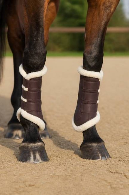 Guêtres cso mouton : comment bien les choisir pour le cheval de saut d’obstacles