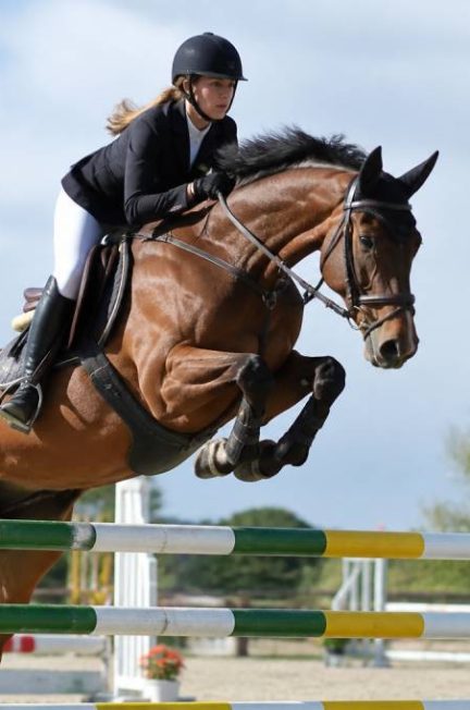 Equi jumping : techniques et équipements pour progresser en saut d’obstacles