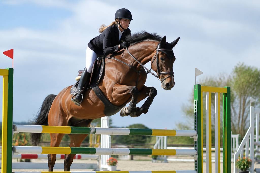 Equi jumping : techniques et équipements pour progresser en saut d’obstacles