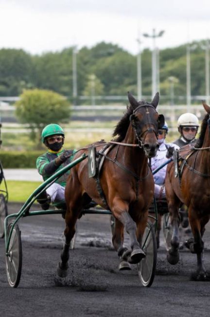 Engagement chevaux trotteurs : règles, démarches et conseils pratiques