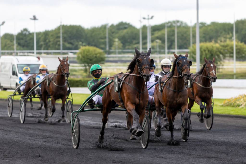 Engagement chevaux trotteurs : règles, démarches et conseils pratiques