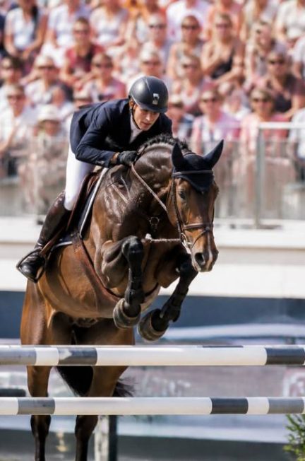 Actu équitation : les dernières nouvelles du monde équestre