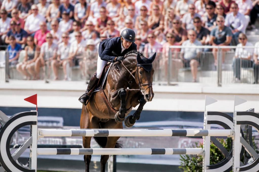 Actu équitation : les dernières nouvelles du monde équestre