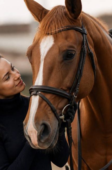 Cheval magazine : actualités, conseils et tendances du monde équestre