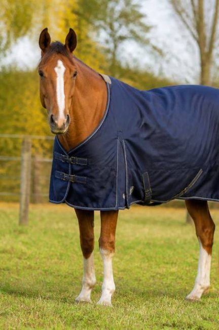 Couverture extérieur chevaux : comment bien choisir la protection adaptée à chaque saison