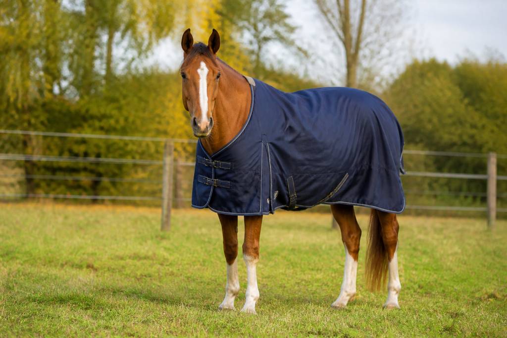 Couverture extérieur chevaux : comment bien choisir la protection adaptée à chaque saison