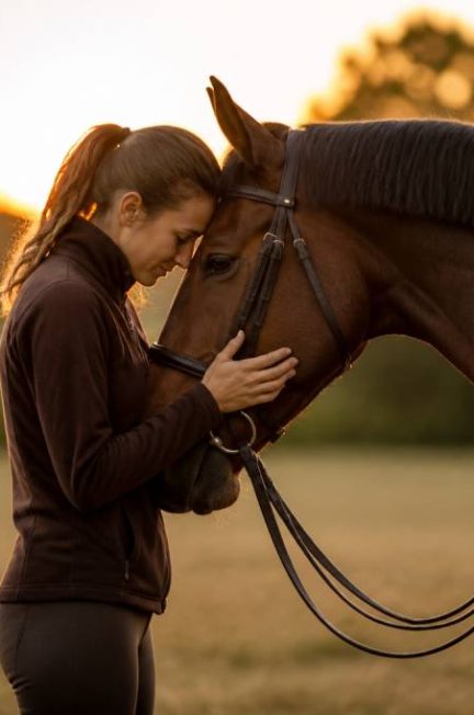 Reportages chevaux : découvrez les plus belles histoires du monde équestre