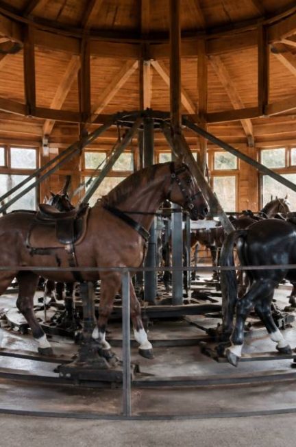 Manèges chevaux de bois : histoire, fonctionnement et critères pour bien choisir