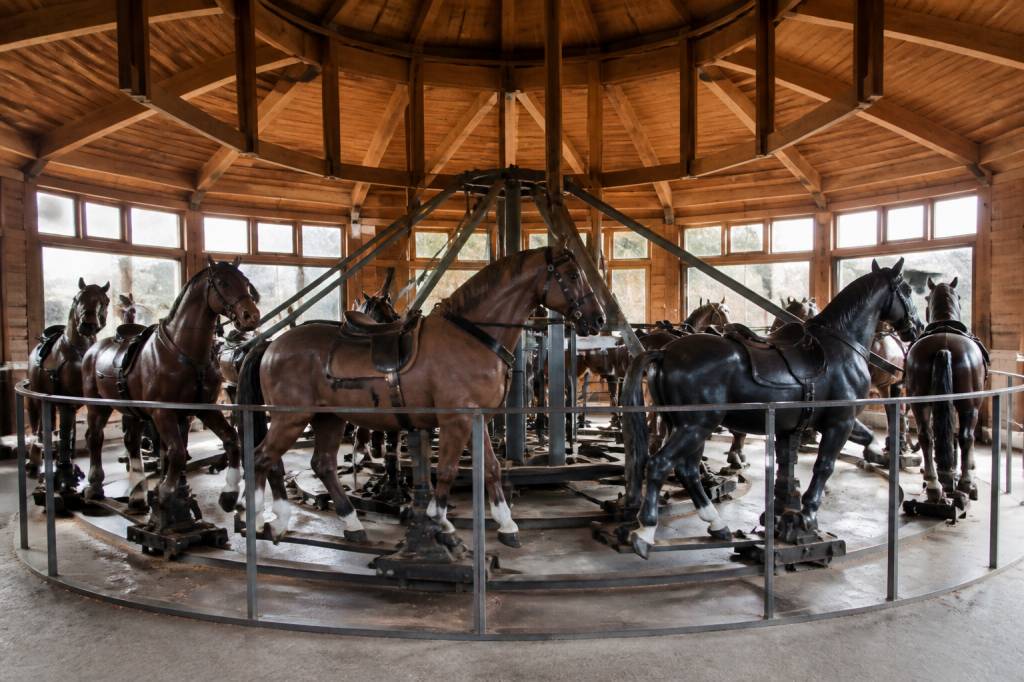 Manèges chevaux de bois : histoire, fonctionnement et critères pour bien choisir
