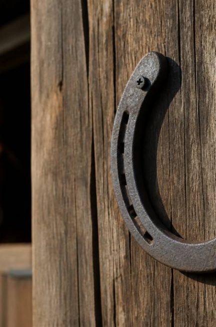 Fer à cheval : signification spirituelle et symbolique dans l’équitation
