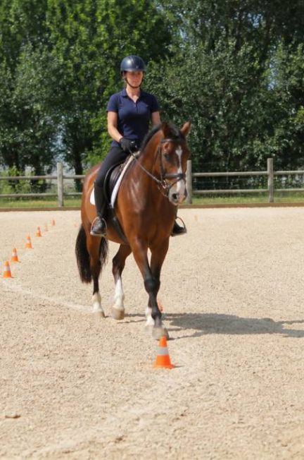Serpentine 3 boucles : technique et conseils pour réussir cet exercice de dressage équestre