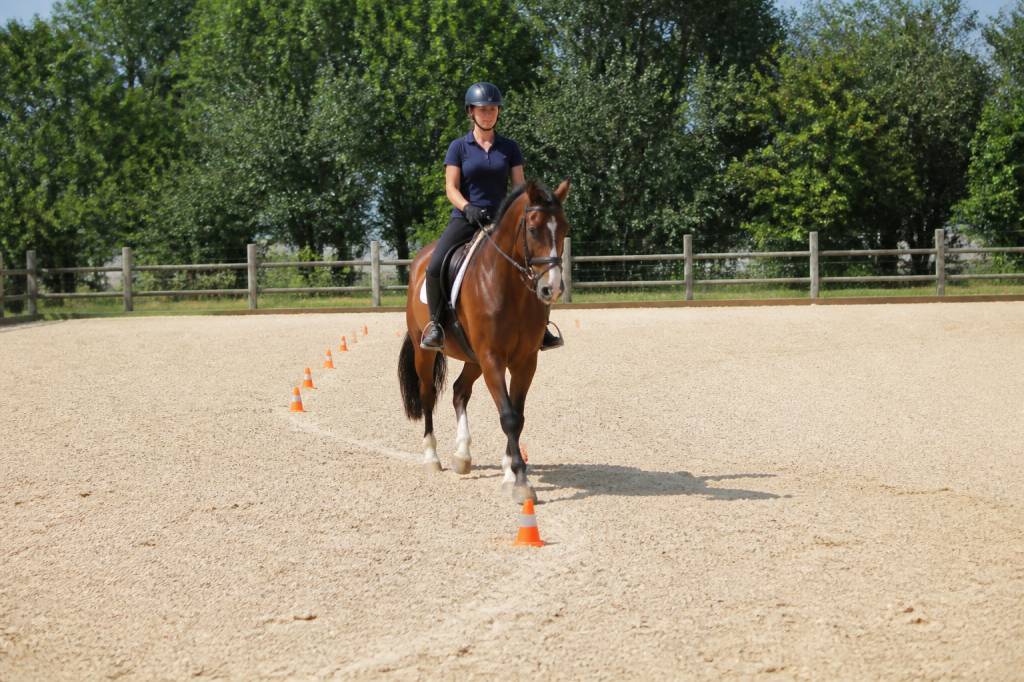 Serpentine 3 boucles : technique et conseils pour réussir cet exercice de dressage équestre