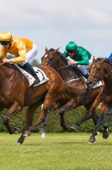 Nom pour chevaux de course : idées originales et conseils pour bien le choisir
