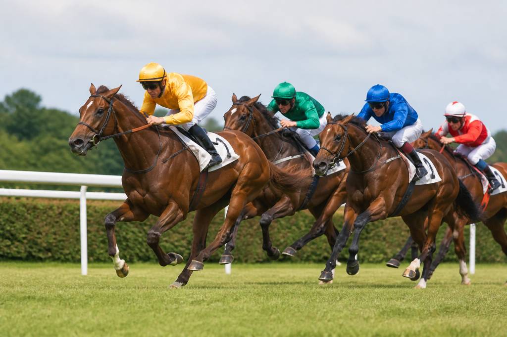 Nom pour chevaux de course : idées originales et conseils pour bien le choisir