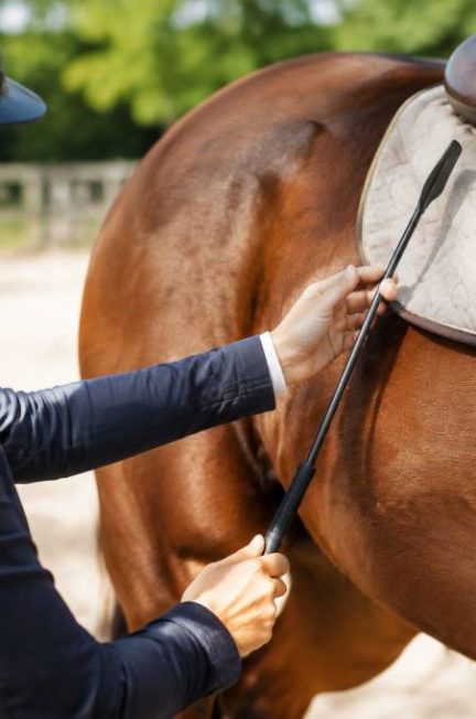 C’est quoi une cravache : définition, utilisation et conseils pour bien la choisir