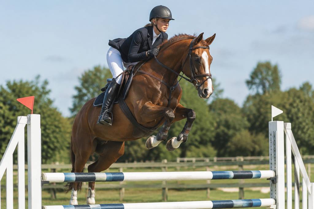 Hunter style : les clés d’une équitation élégante et précise