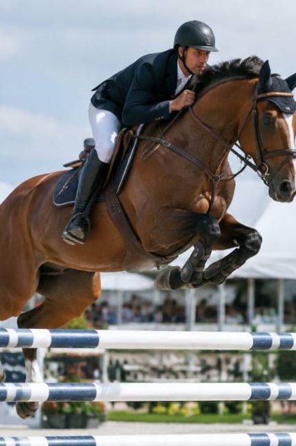 Calendrier jumping international 202 les dates incontournables des grands concours équestres