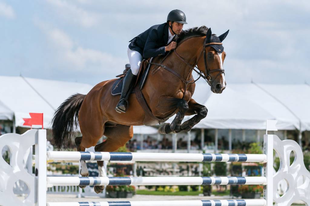Calendrier jumping international 202 les dates incontournables des grands concours équestres