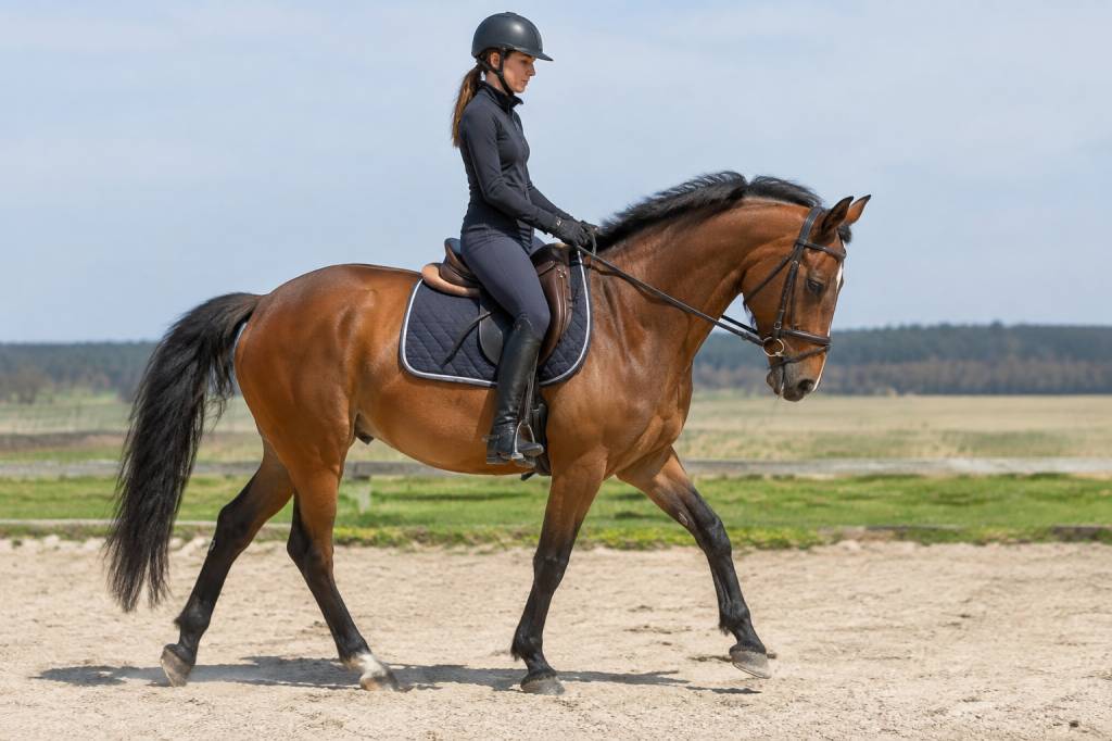 Georgette équitation : causes, conséquences et solutions pour améliorer sa position à cheval