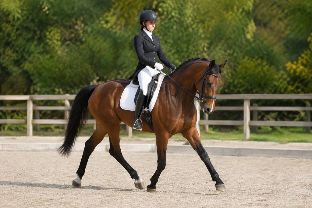 Ligne courbe équitation : maîtriser cette figure de dressage à cheval