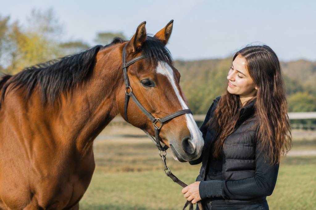 Chevaux pas cher : comment trouver un cheval adapté à son budget ?