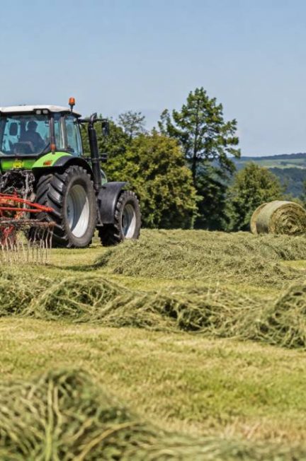 Comment faire du foin pour chevaux : les étapes essentielles pour une récolte de qualité