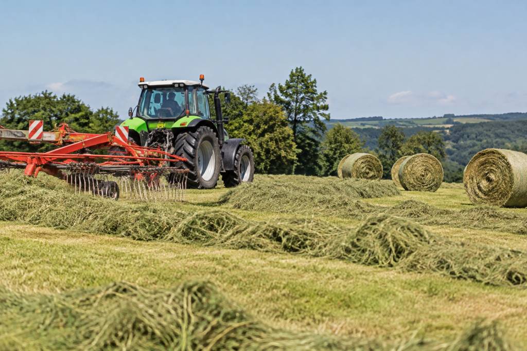Comment faire du foin pour chevaux : les étapes essentielles pour une récolte de qualité