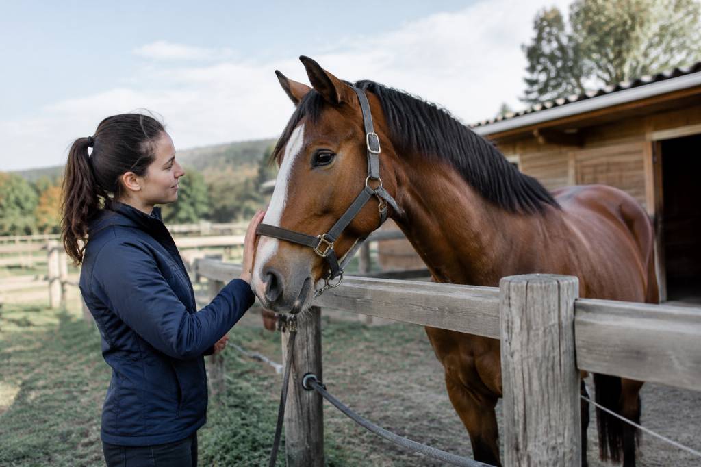 Confiage chevaux : les étapes à connaître pour confier un cheval en toute sérénité