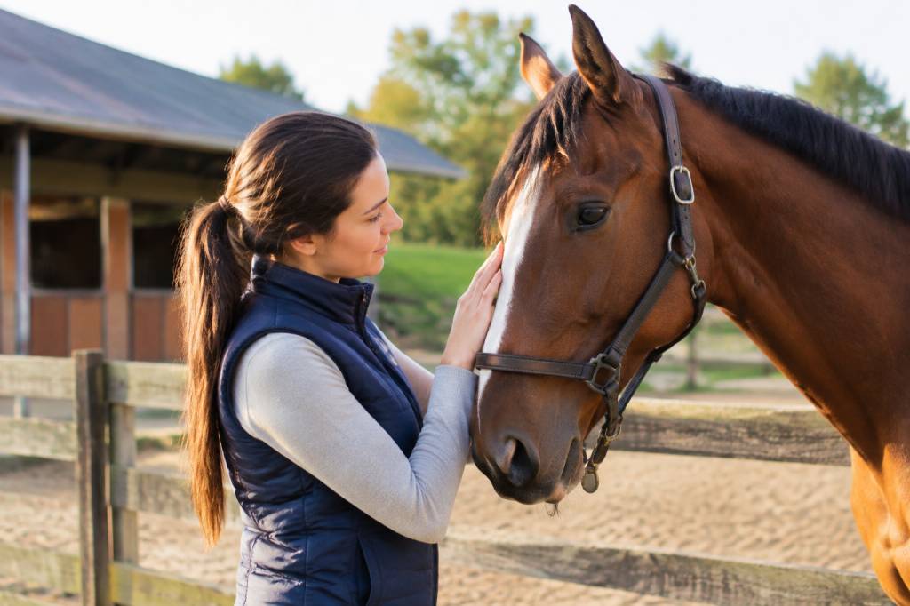 Cheval à vendre pas cher ou à donner : comment trouver la bonne annonce