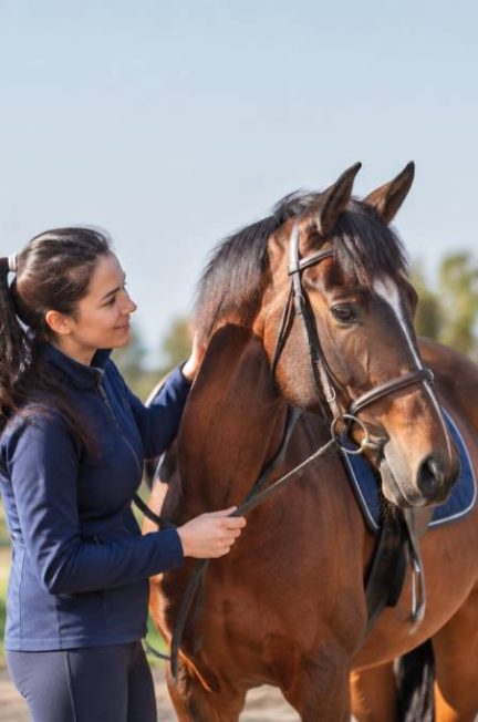 Chevaux à vendre pas cher : comment trouver un cheval au juste prix