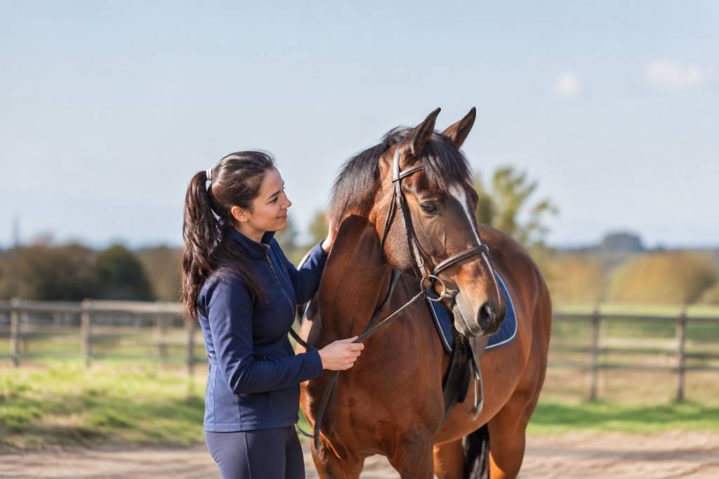 Chevaux à vendre pas cher : comment trouver un cheval au juste prix
