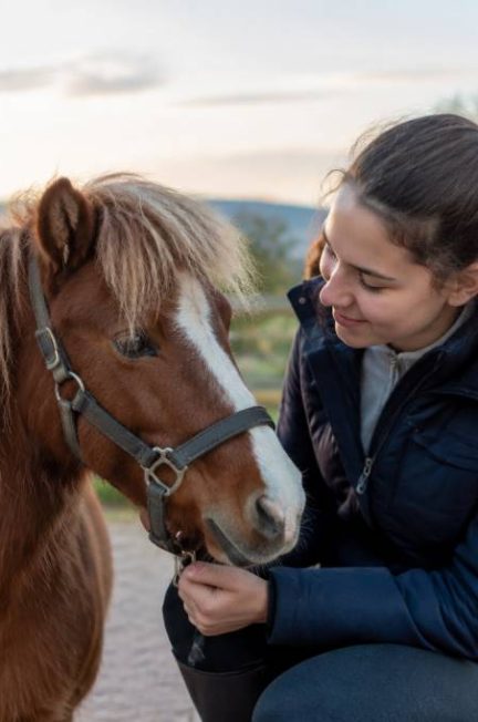 Achat poney : conseils pour bien choisir son futur compagnon en 2026