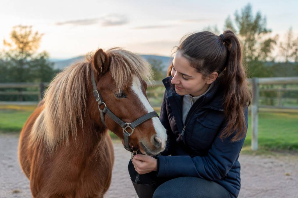 Achat poney : conseils pour bien choisir son futur compagnon en 2026