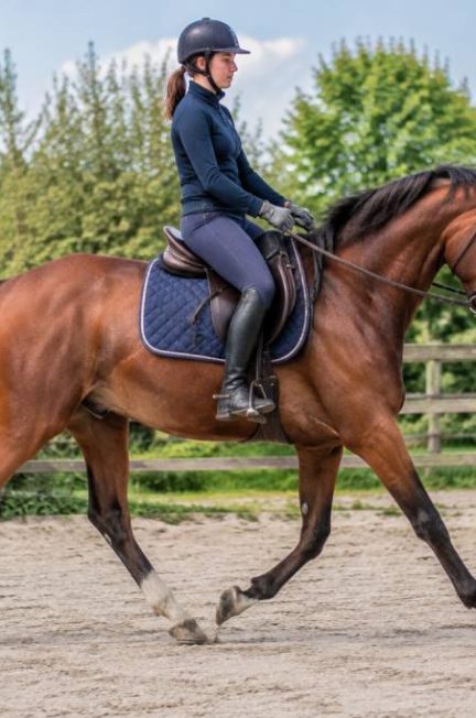 Cheval qui trotte : comprendre son allure et améliorer son travail au trot